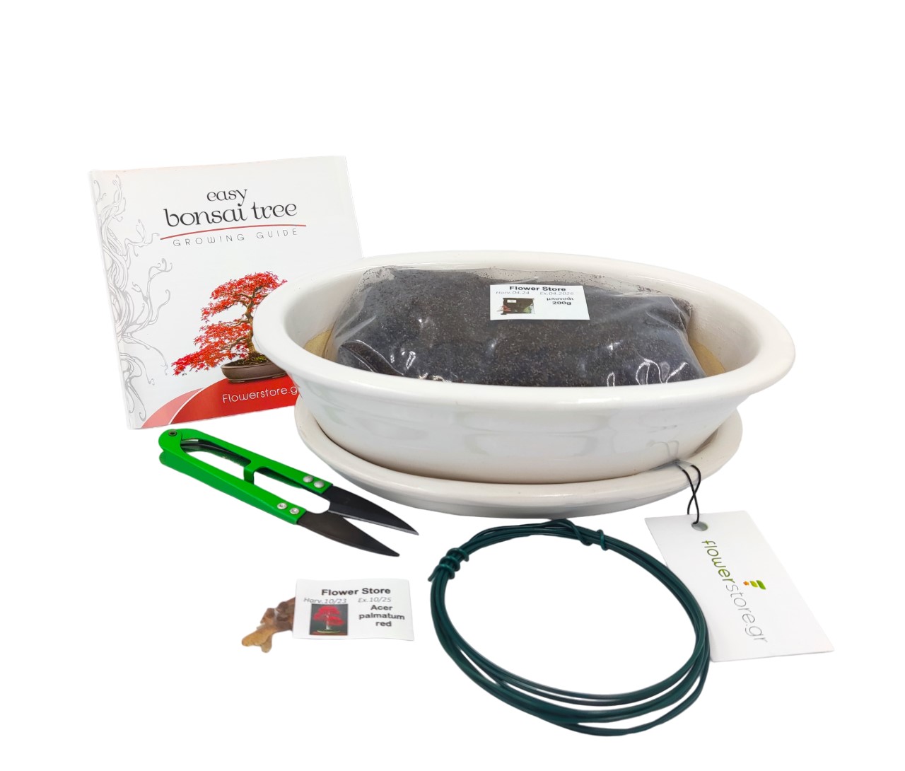 Bonsai Starter Σετ Δώρου - Acer Palmatum Red