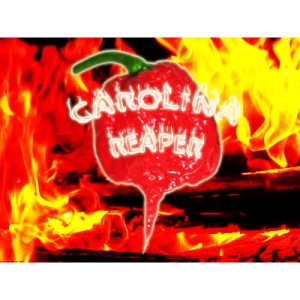 Carolina Reaper Υπερκαυτερή Πιπεριά 6 Σπόροι!