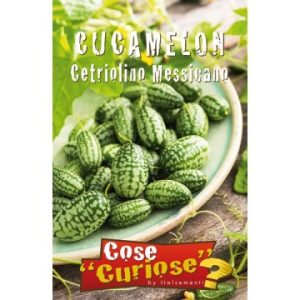 Cucamelon ή Μεξικάνικο αγγουράκι"Melothria scabra" - 7 σπόροι