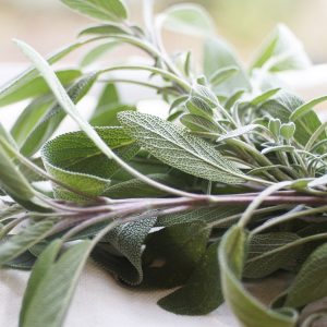 Φασκόμηλο Salvia Officinalis 0,3g Σπόροι