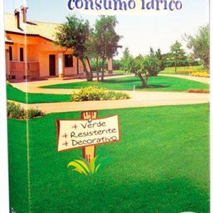 Γκαζόν Κλασσικό Festuca Arudinacea 500γρ Σπόροι