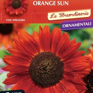 Ηλίανθος ‘Orange sun’’- Helianthus Asteraceae 3γρ. Σπόροι