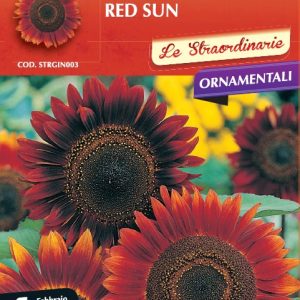 Ηλίανθος Red Sun (Helianthus Asteraceae) 4γρ. Σπόροι