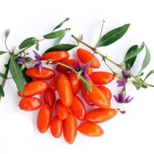 Goji Berry – Lycium barbarum, 0,05γρ. Σπόροι