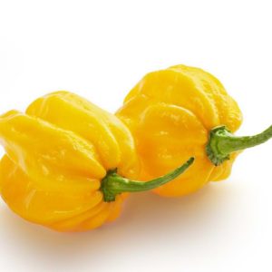 Habanero Κίτρινη καυτερή Πιπεριά - 20 Σπόροι