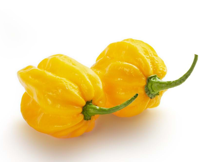 Habanero Κίτρινη καυτερή Πιπεριά - 20 Σπόροι