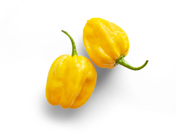 Habanero Κίτρινη καυτερή Πιπεριά - 20 Σπόροι - Image 3