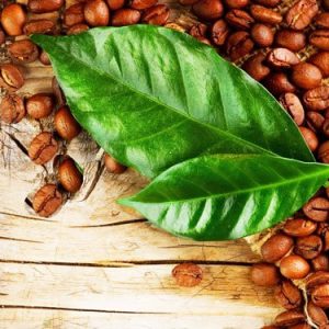 Καφές (Coffea Arabica) 3gr