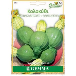 Κολοκυθάκι Στρογγυλό - 2g. Σπόροι