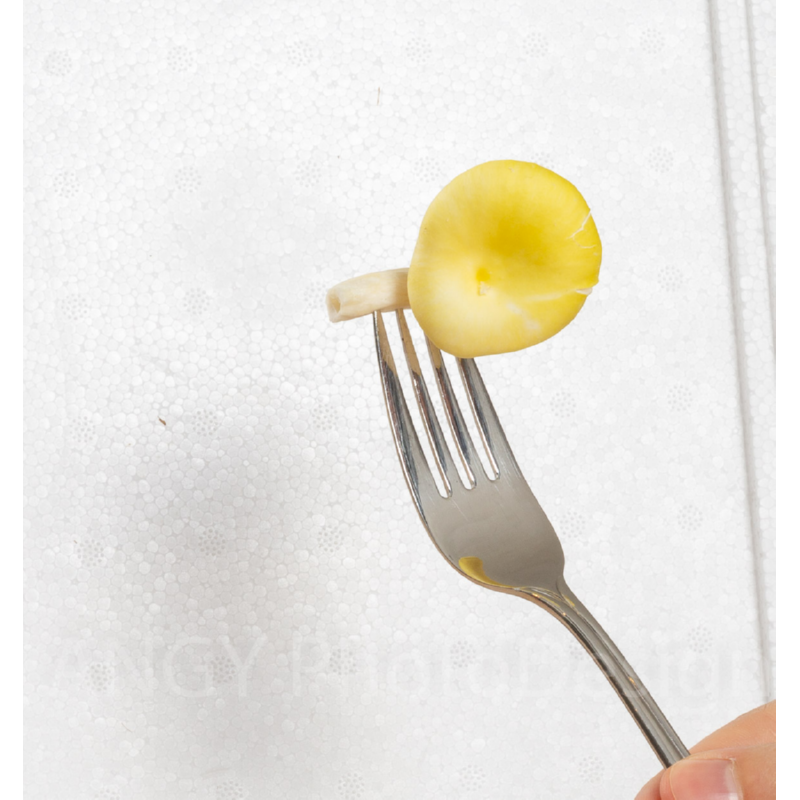 Κιτ Καλλιέργειας Κίτρινων Μανιταριών Oyster "Yellow Oyster" - Image 2
