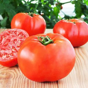 Ντομάτα Milyana Beefsteak Κόκκινη 1gr.