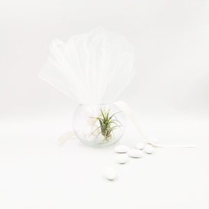Μπομπονιέρα Airplant Tilandsia με Τούλι σε Mini Γυάλα!