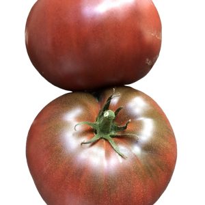 Ντομάτα Μαύρη Giant Fiolet - 15 σπόροι