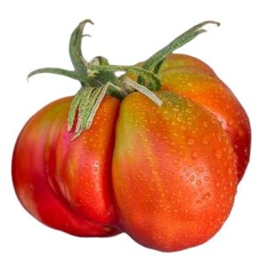 Ντομάτα Strawberry Wedge - 15 σπόροι