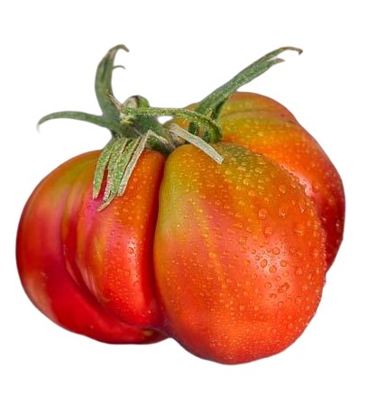 Ντομάτα Strawberry Wedge - 15 σπόροι