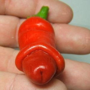 Πιπεριά Peter Pepper Penis  8 σπόροι