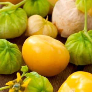 Ντομάτα φυσαλίδα - Physalis ixocarpa – σπόροι 0,5g