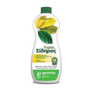 Υγρός Σίδηρος 300ml