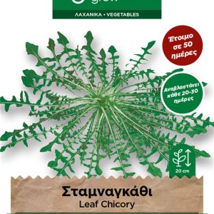 Σταμναγκάθι- 0,05γρ. Σπόροι