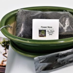 Bonsai Starter Σετ Δώρου - Ιαπωνικό Μαύρο Πεύκο