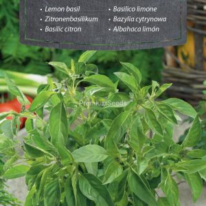 Βασιλικός Με Άρωμα Λεμόνι (Basilico Limone) 0.5 γρ. Σπόροι